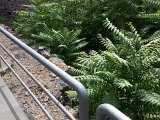 (89) Complesso Monastico - Giardino dei Novizi.jpg